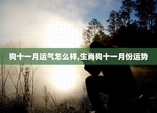 狗十一月运气怎么样,生肖狗十一月份运势
