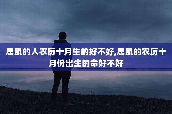 属鼠的人农历十月生的好不好,属鼠的农历十月份出生的命好不好