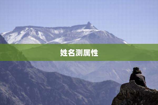 姓名测属性