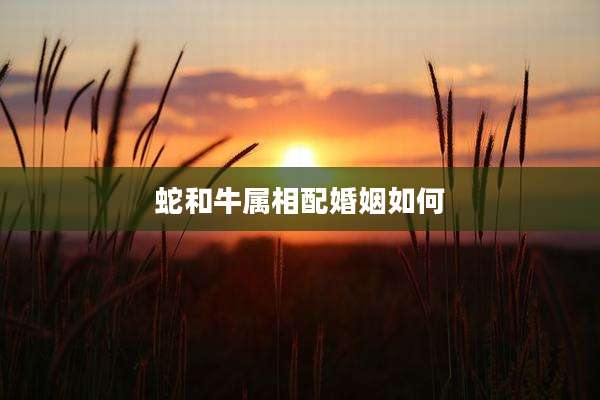 蛇和牛属相配婚姻如何