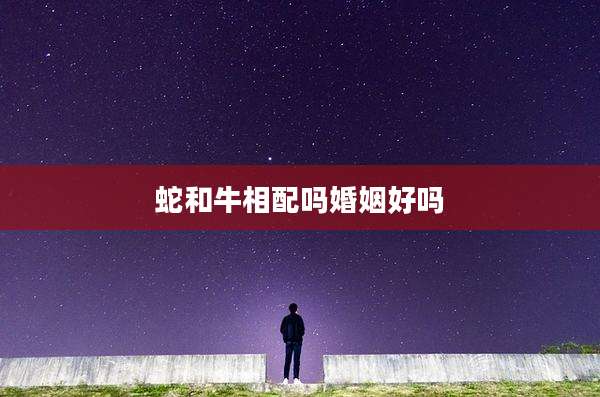 蛇和牛相配吗婚姻好吗