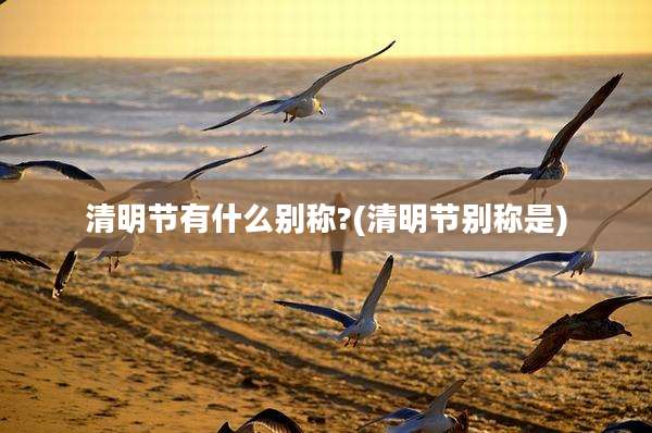 清明节有什么别称?(清明节别称是)