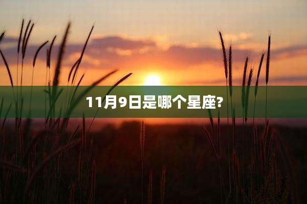 11月9日是哪个星座?