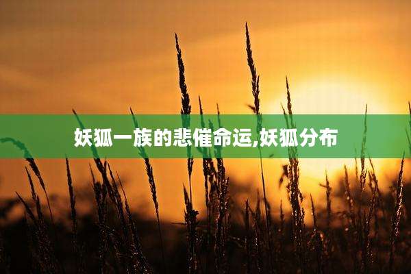妖狐一族的悲催命运,妖狐分布