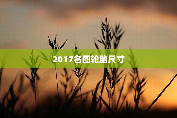 2017名图轮胎尺寸