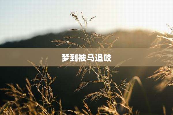 梦到被马追咬