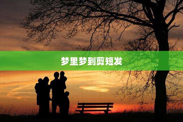 梦里梦到剪短发
