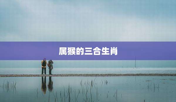 属猴的三合生肖