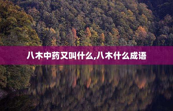 八木中药又叫什么,八木什么成语