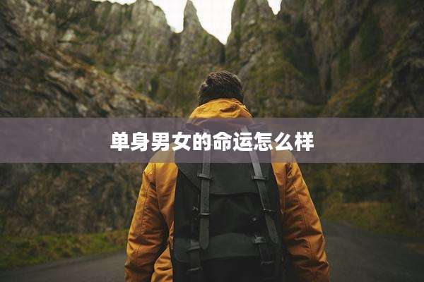 单身男女的命运怎么样