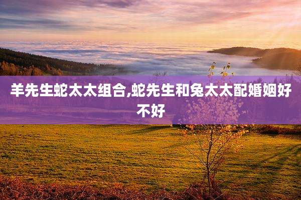 羊先生蛇太太组合,蛇先生和兔太太配婚姻好不好