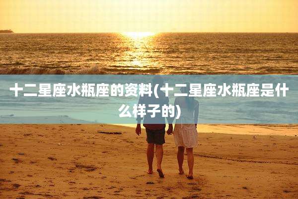 十二星座水瓶座的资料(十二星座水瓶座是什么样子的)