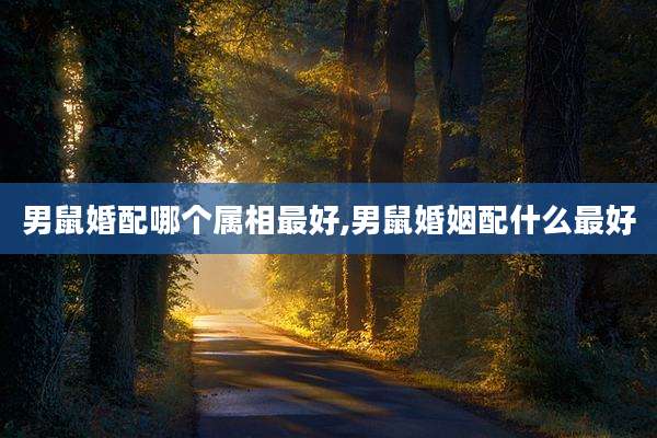 男鼠婚配哪个属相最好,男鼠婚姻配什么最好
