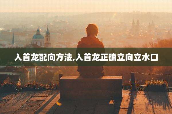 入首龙配向方法,入首龙正确立向立水口