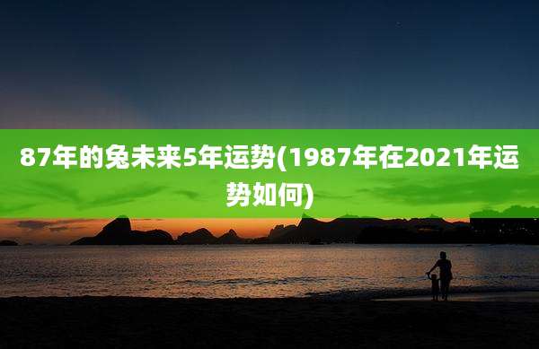 87年的兔未来5年运势(1987年在2021年运势如何)