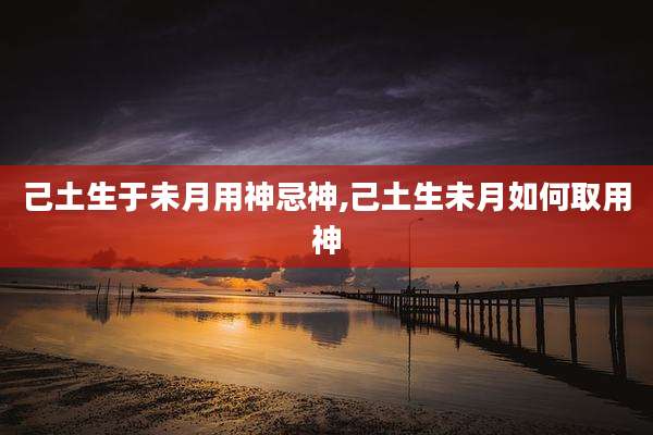 己土生于未月用神忌神,己土生未月如何取用神