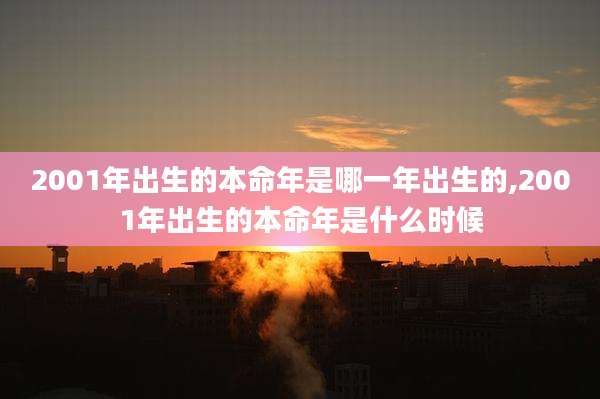 2001年出生的本命年是哪一年出生的,2001年出生的本命年是什么时候