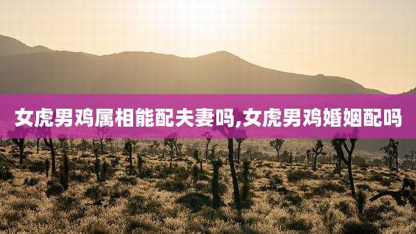 女虎男鸡属相能配夫妻吗,女虎男鸡婚姻配吗