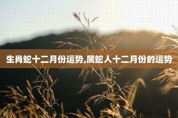 生肖蛇十二月份运势,属蛇人十二月份的运势