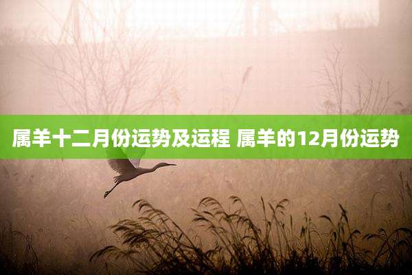 属羊十二月份运势及运程 属羊的12月份运势