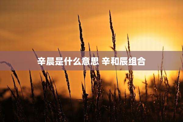 辛晨是什么意思 辛和辰组合