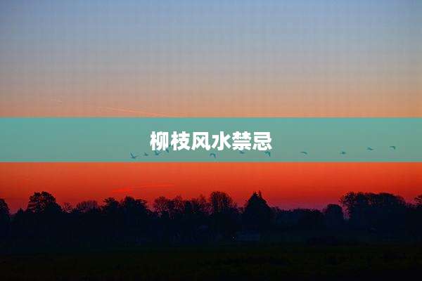 柳枝风水禁忌