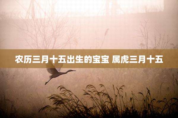 农历三月十五出生的宝宝 属虎三月十五