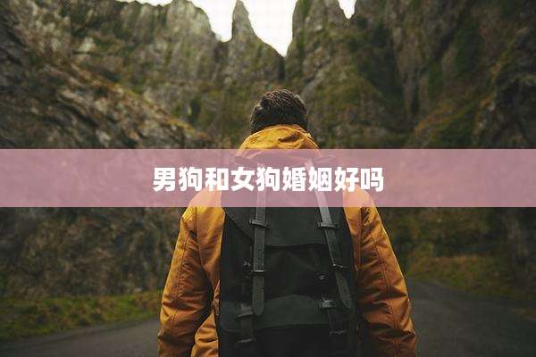 男狗和女狗婚姻好吗
