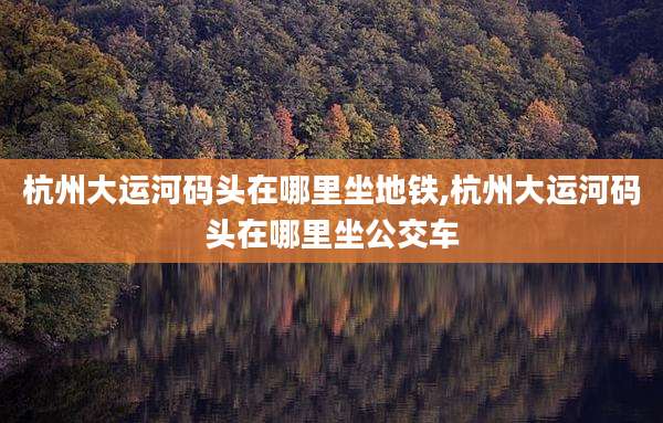 杭州大运河码头在哪里坐地铁,杭州大运河码头在哪里坐公交车