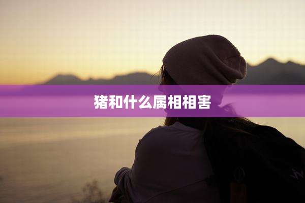 猪和什么属相相害