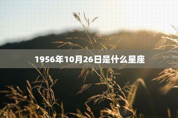 1956年10月26日是什么星座