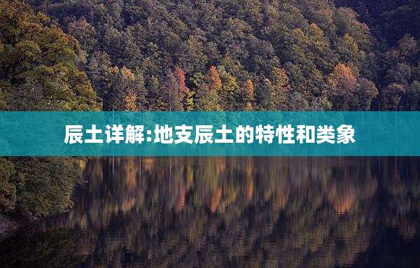 辰土详解:地支辰土的特性和类象