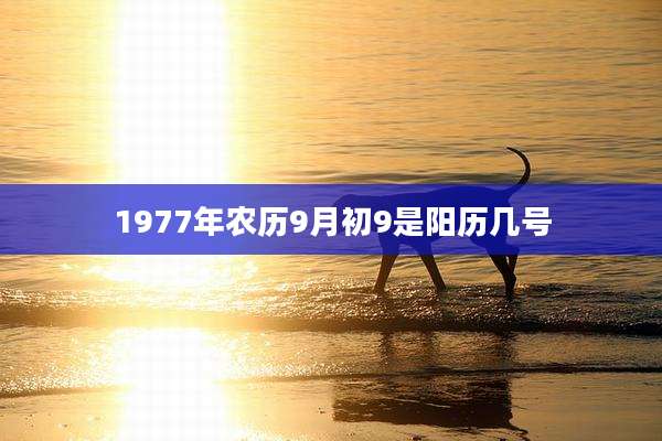 1977年农历9月初9是阳历几号