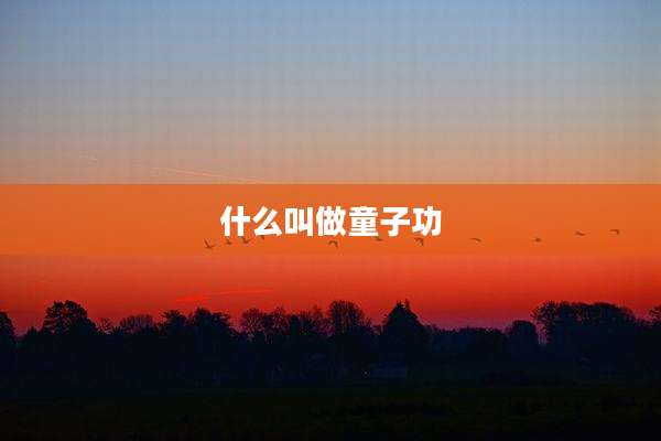 什么叫做童子功