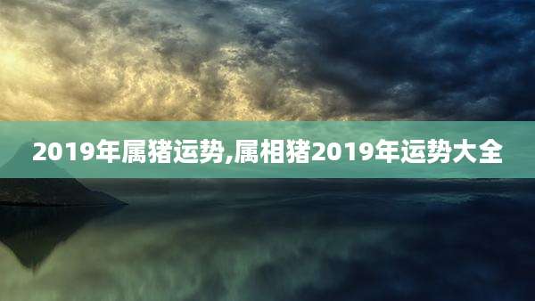 2019年属猪运势,属相猪2019年运势大全