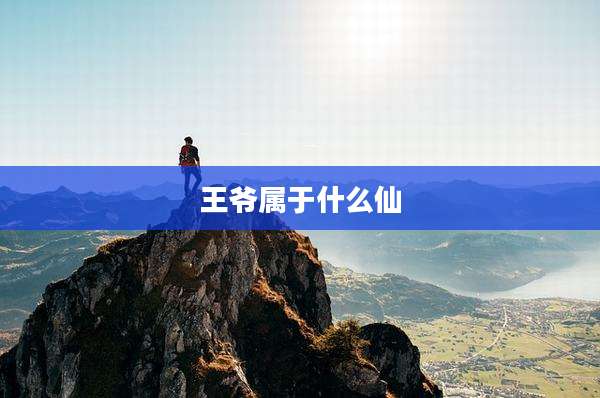 王爷属于什么仙
