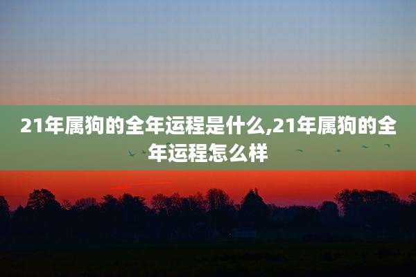 21年属狗的全年运程是什么,21年属狗的全年运程怎么样