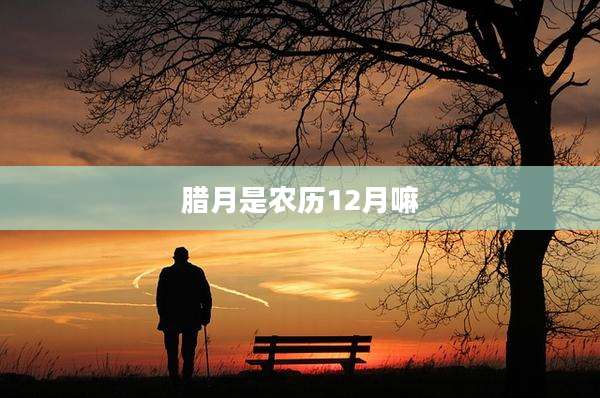 腊月是农历12月嘛
