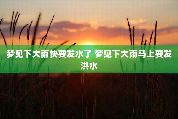 梦见下大雨快要发水了 梦见下大雨马上要发洪水