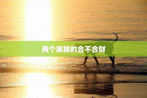 两个属猴的合不合财