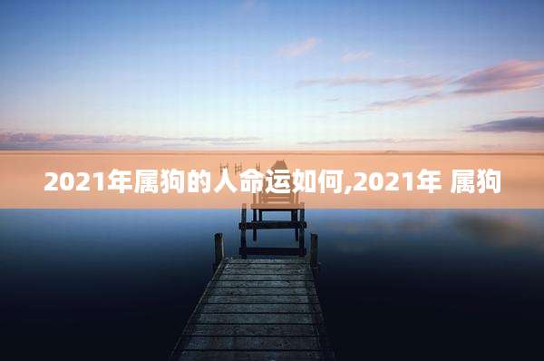 2021年属狗的人命运如何,2021年 属狗