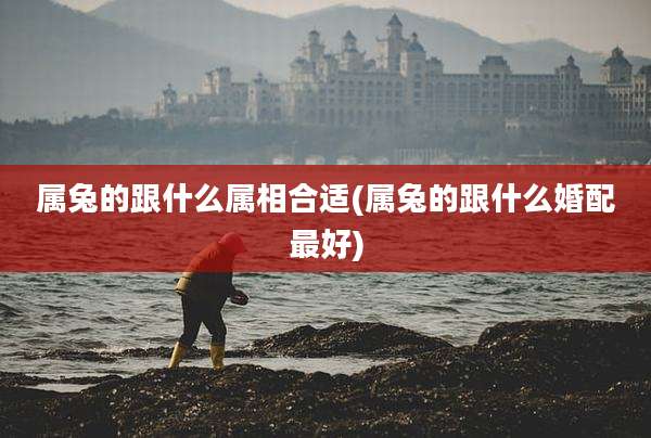 属兔的跟什么属相合适(属兔的跟什么婚配最好)