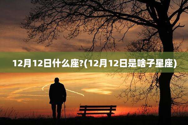 12月12日什么座?(12月12日是啥子星座)