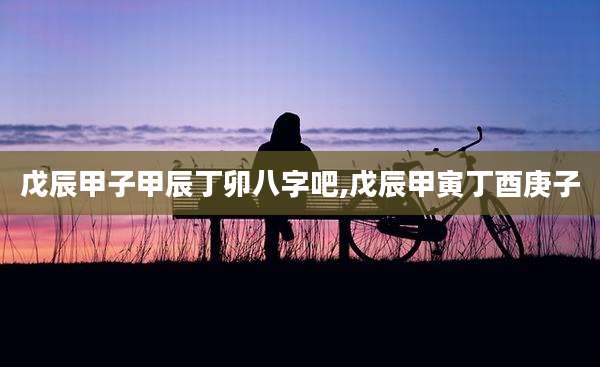 戊辰甲子甲辰丁卯八字吧,戊辰甲寅丁酉庚子