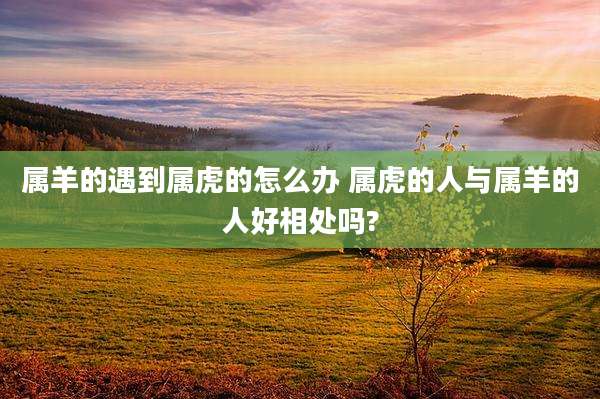 属羊的遇到属虎的怎么办 属虎的人与属羊的人好相处吗?