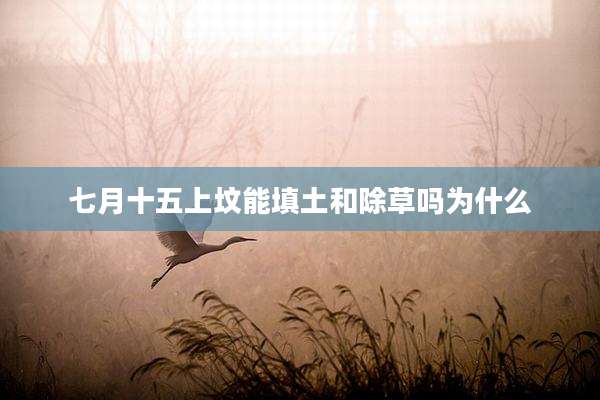 七月十五上坟能填土和除草吗为什么