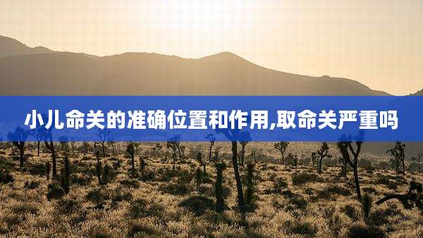 小儿命关的准确位置和作用,取命关严重吗