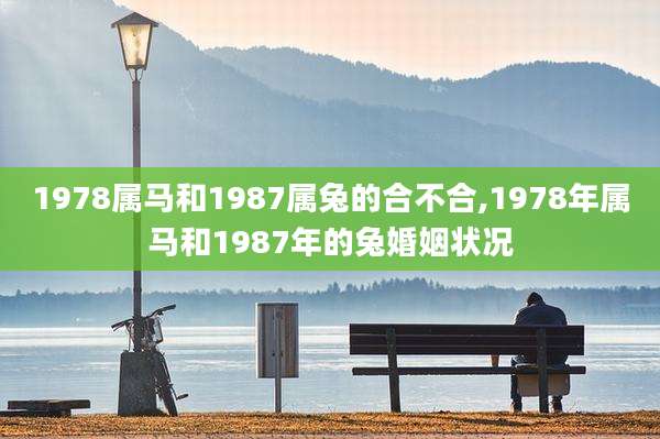 1978属马和1987属兔的合不合,1978年属马和1987年的兔婚姻状况