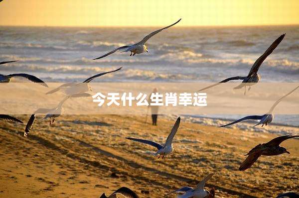 今天什么生肖幸运