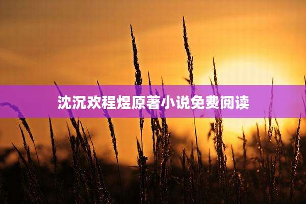 沈沉欢程煜原著小说免费阅读